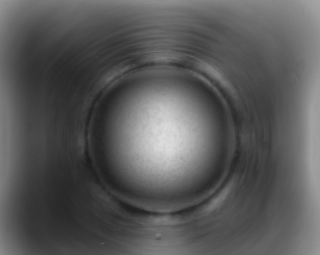 X0000088901025200706151844