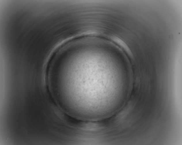 X0000088901027200706151844