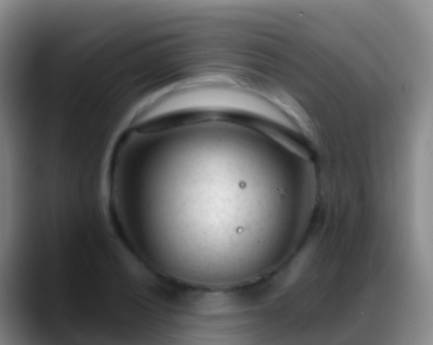 X0000088901028200706151844