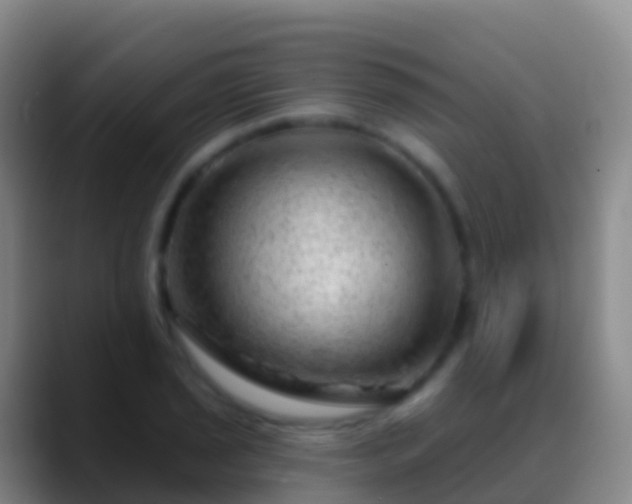 X0000088901029200706151844