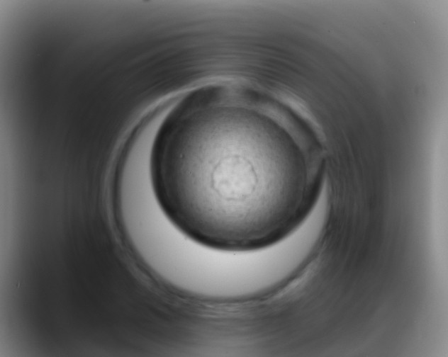 X0000088901030200706151844