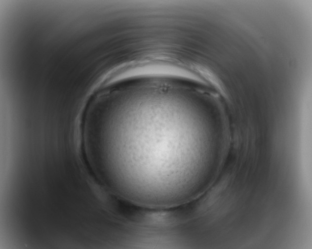 X0000088901031200706151844