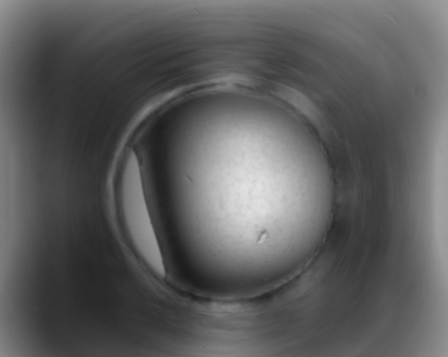 X0000088901032200706151844