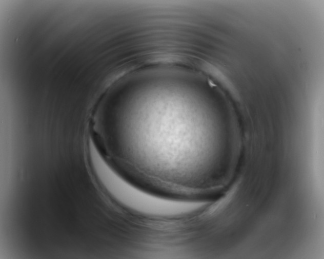 X0000088901033200706151844