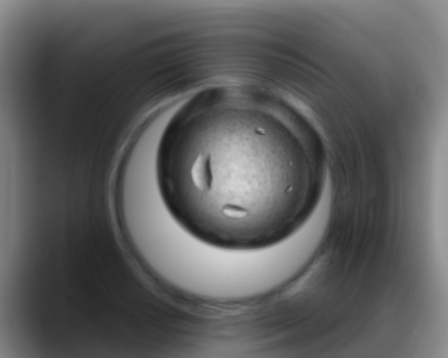 X0000088901034200706151844