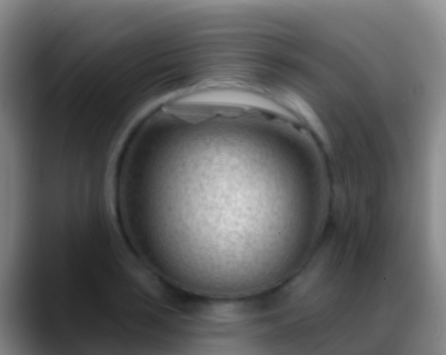 X0000088901035200706151844