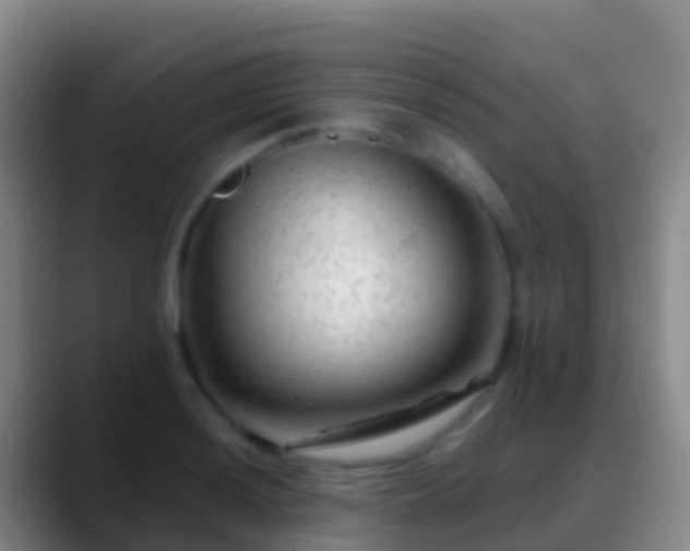 X0000088901036200706151844