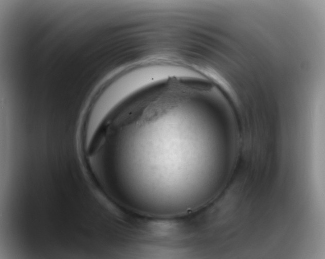X0000088901037200706151844