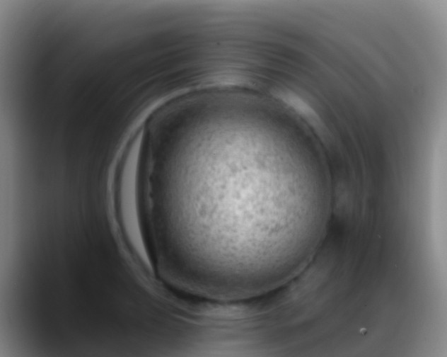 X0000088901039200706151844