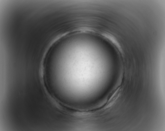X0000088901040200706151844