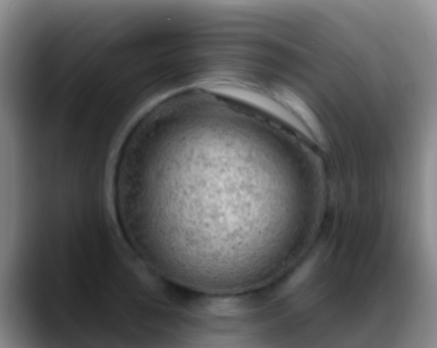 X0000088901043200706151844
