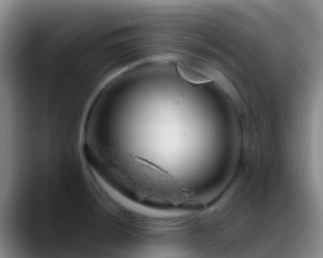 X0000088901044200706151844