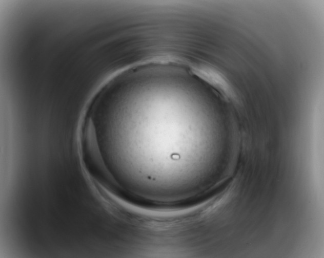 X0000088901046200706151844