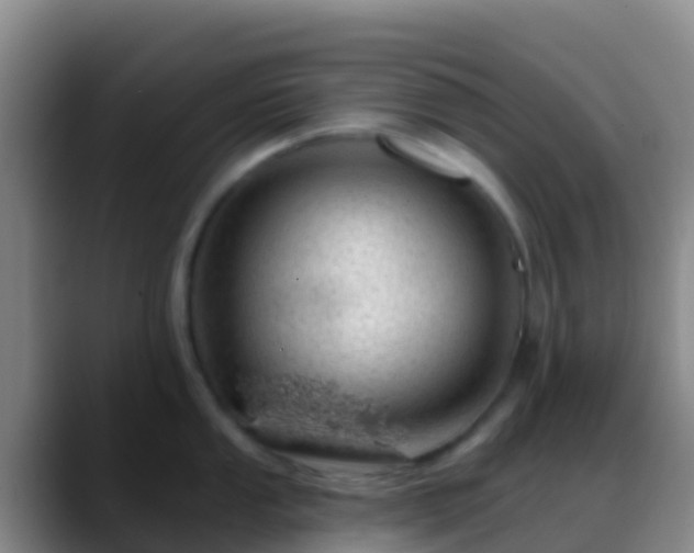 X0000088901053200706151844