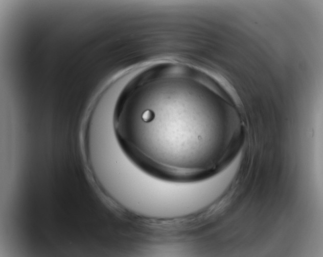 X0000088901054200706151844