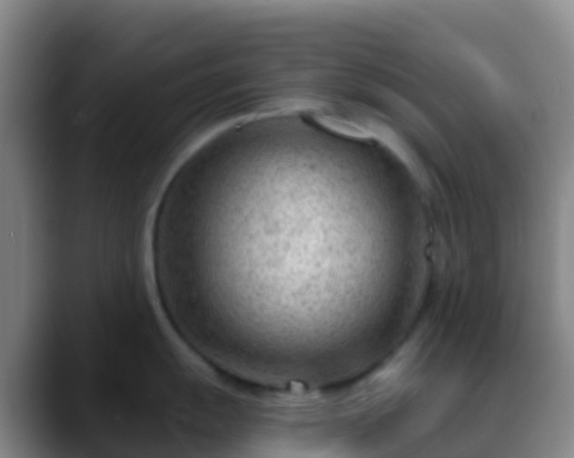 X0000088901055200706151844