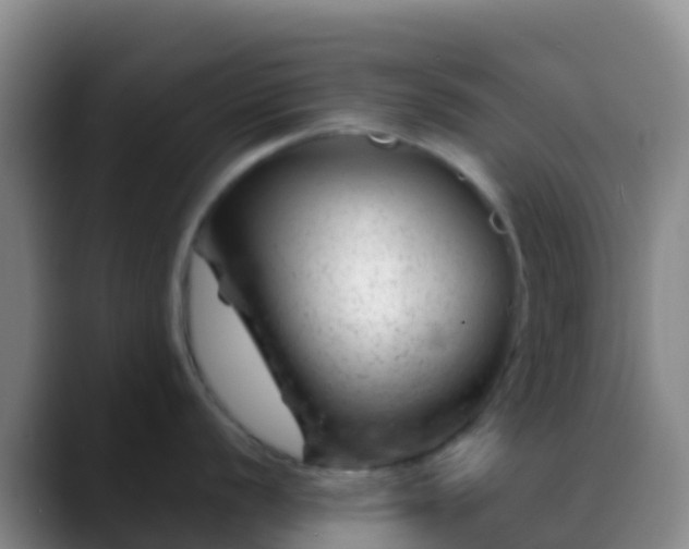 X0000088901056200706151844