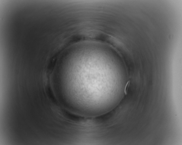 X0000088901058200706151844