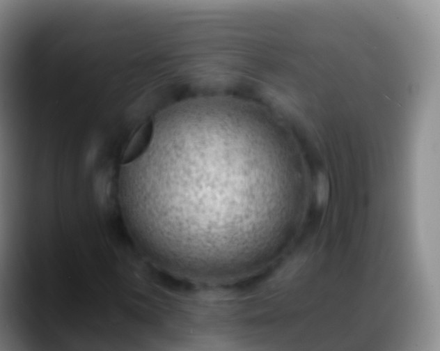 X0000088901059200706151844