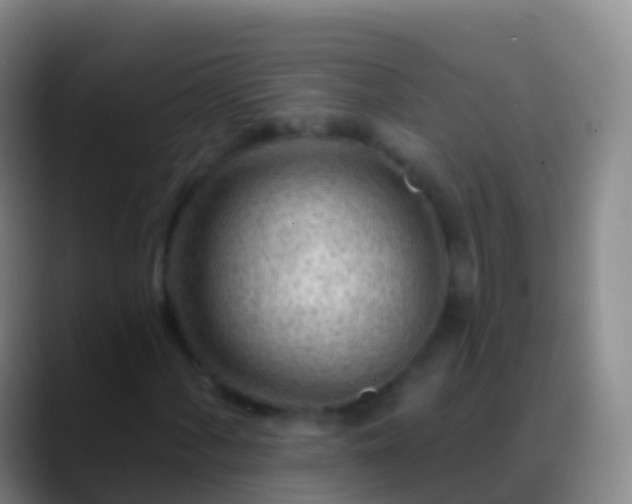 X0000088901060200706151844