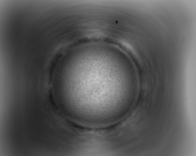 X0000088901063200706151844