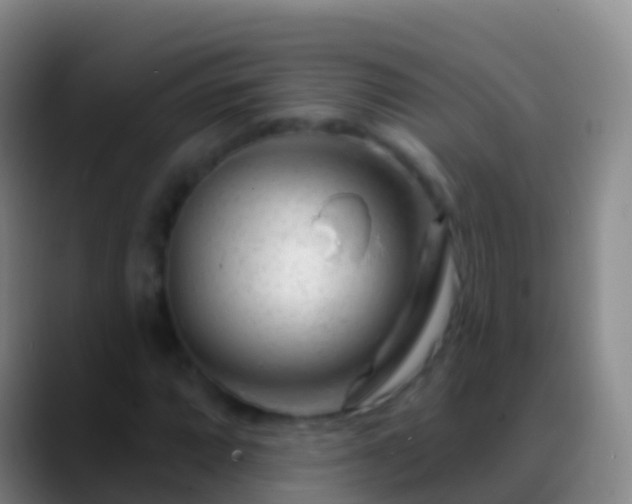 X0000088901064200706151844