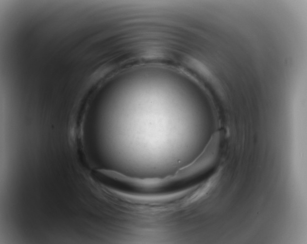 X0000088901065200706151844