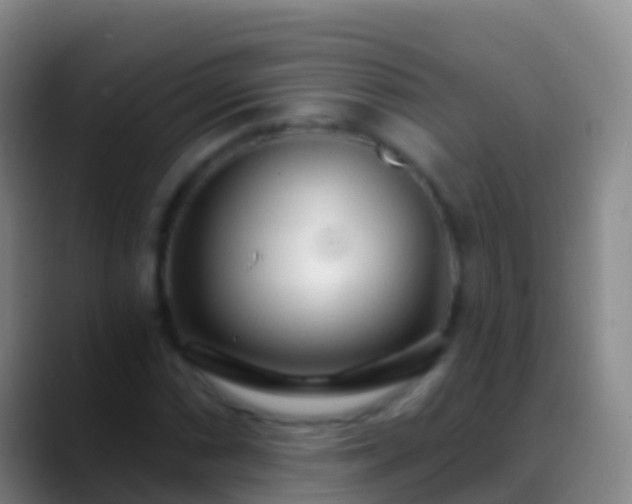 X0000088901066200706151844