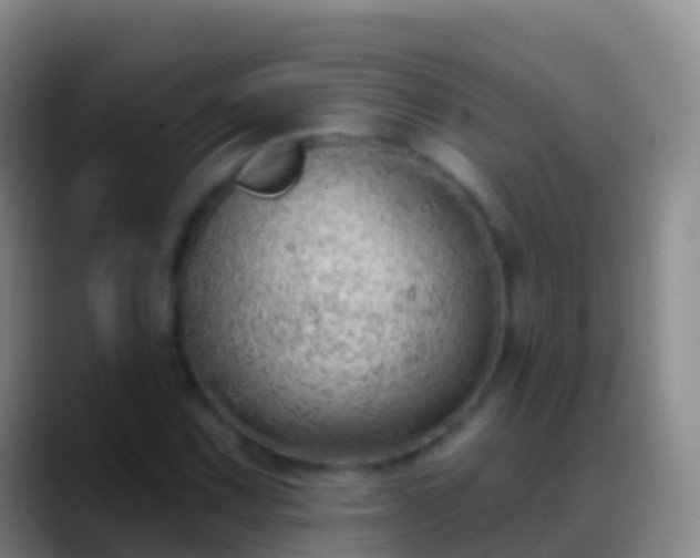 X0000088901067200706151844