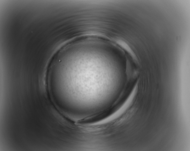 X0000088901068200706151844