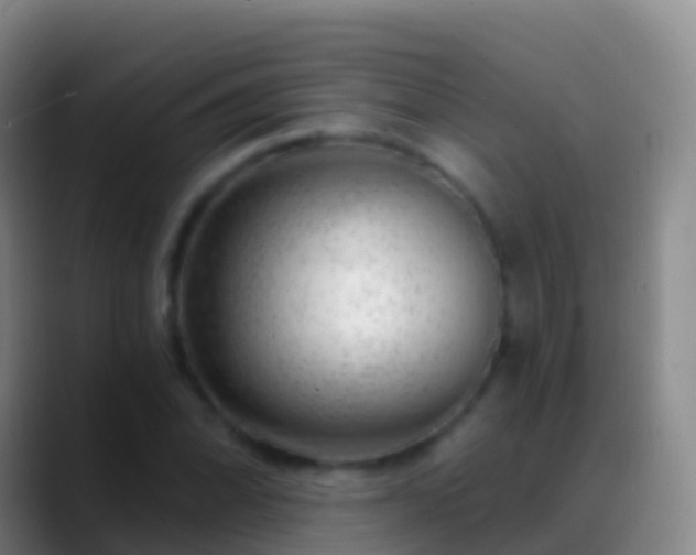 X0000088901070200706151844