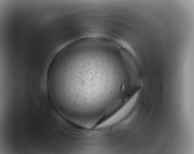 X0000088901071200706151844