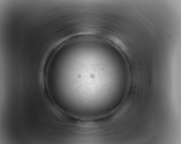 X0000088901072200706151844