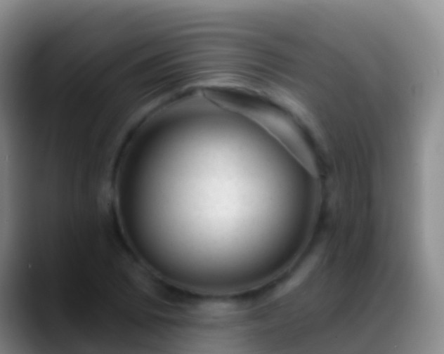 X0000088901073200706151844