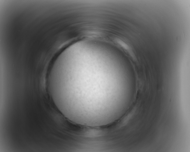 X0000088901074200706151844