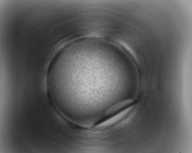 X0000088901075200706151844