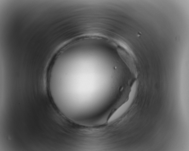 X0000088901076200706151843