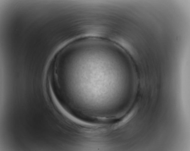 X0000088901077200706151843