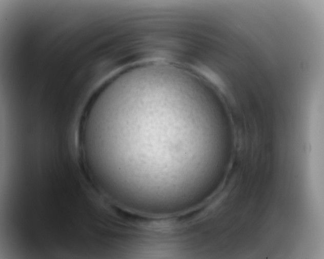 X0000088901078200706151843