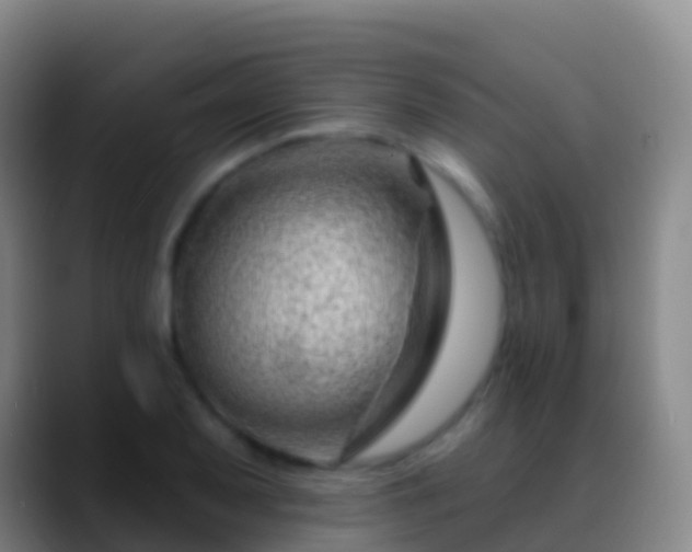 X0000088901079200706151843