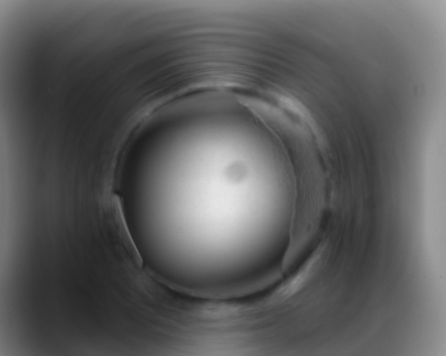 X0000088901081200706151843