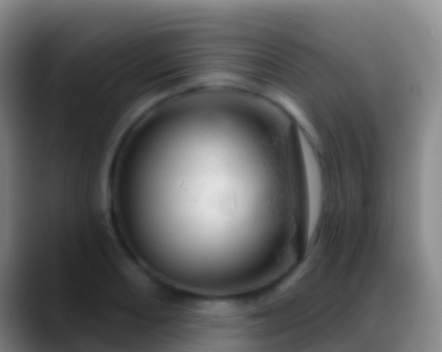 X0000088901082200706151843