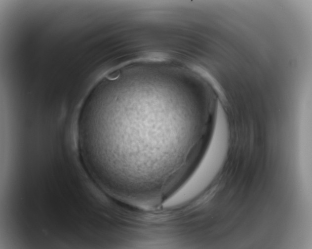 X0000088901083200706151843