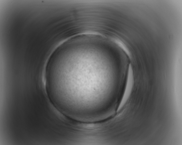 X0000088901084200706151843
