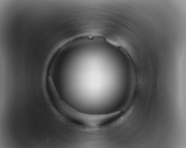 X0000088901085200706151843
