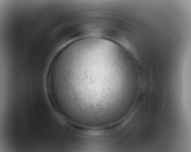 X0000088901086200706151843