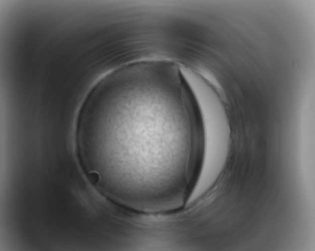 X0000088901087200706151843