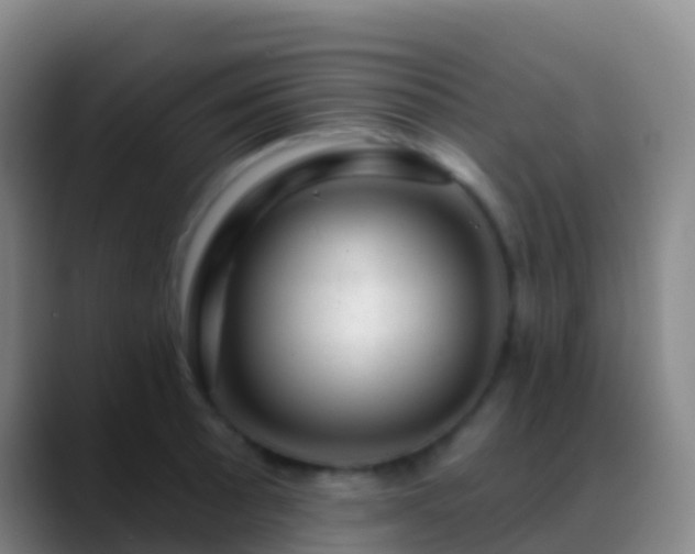X0000088901089200706151843