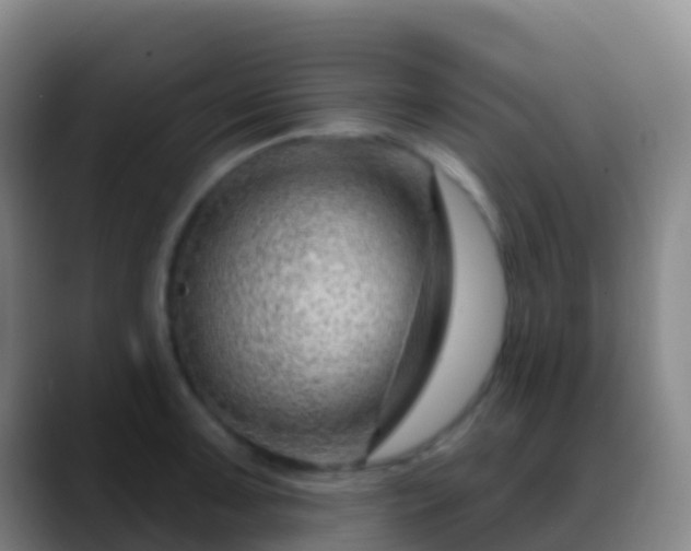 X0000088901091200706151843