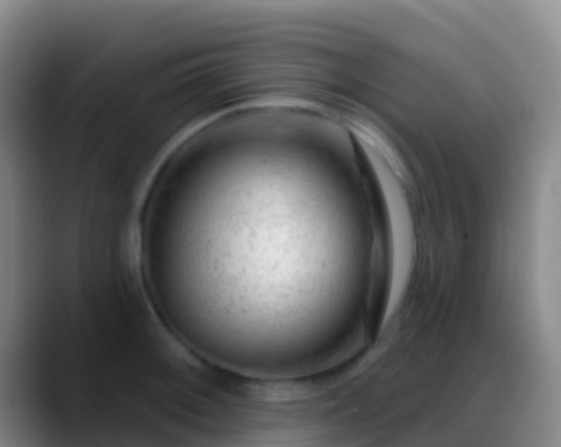 X0000088901092200706151843